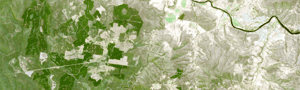 Comparison-1a